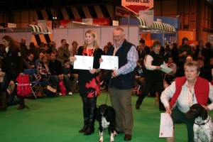 nellie-and-kerry-crufts nellie-and-kerry-crufts